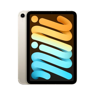 iPad mini 256GB Wifi + Cellular