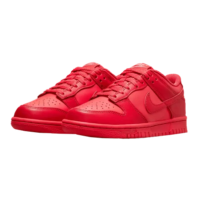 Nike Dunk Low Track Red (GS)