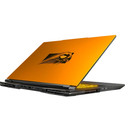 Falcon Northwest DRX Ultimate Gaming Laptop