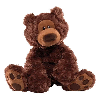 Teddy Bear