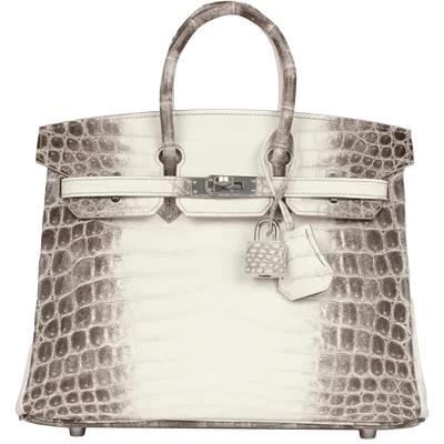 Hermès Birkin 25 Himalaya Niloticus Crocodile Palladium Hardware