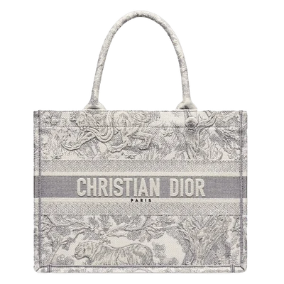 Dior Dioriviera Book Tote Small Gray