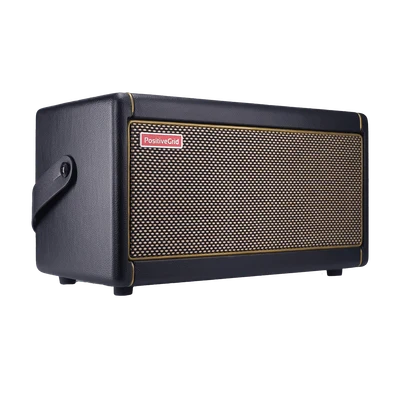 Spark 40-Watt Guitar Amplifier